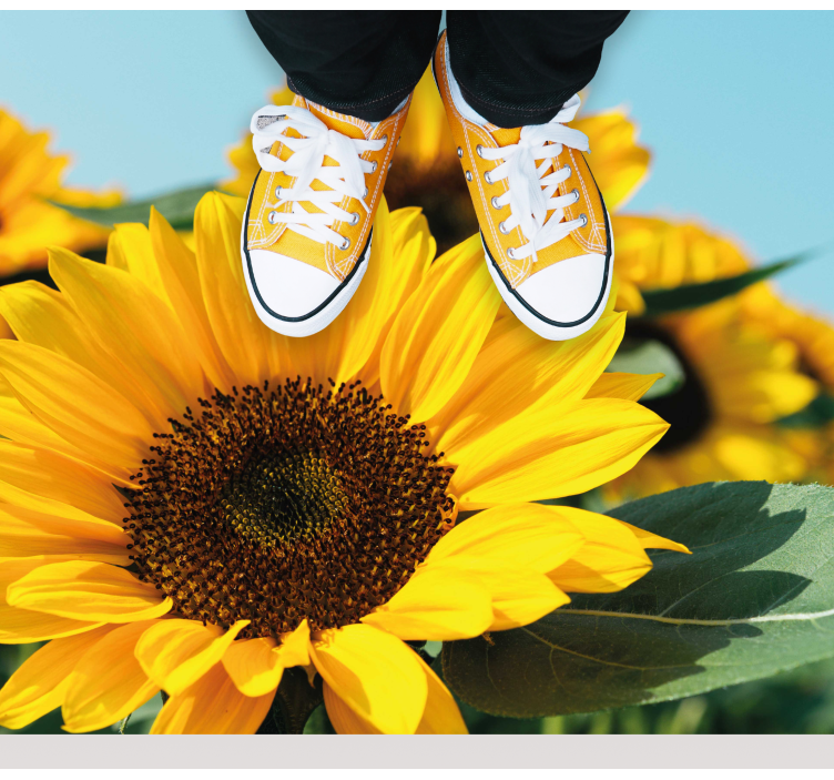 Bir güneş çiçeği çiçek vinil kilim kapatmak - TenStickers