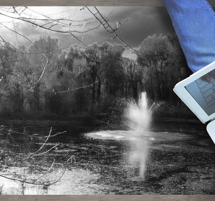 Gri orman doğa vinil halı - TenStickers