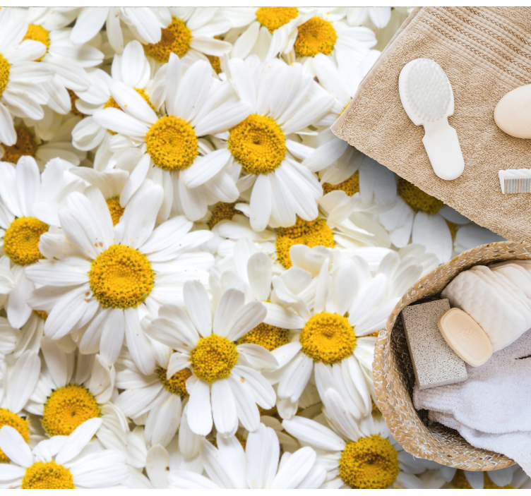 Papatya çiçek resmi çiçek halı - TenStickers