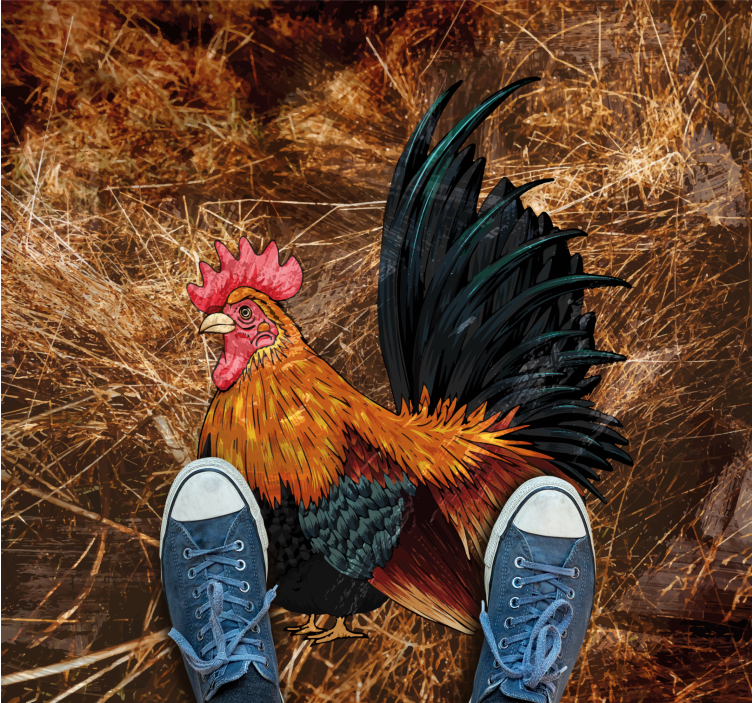 Saman kare vinil halıda çizilmiş horoz - TenStickers