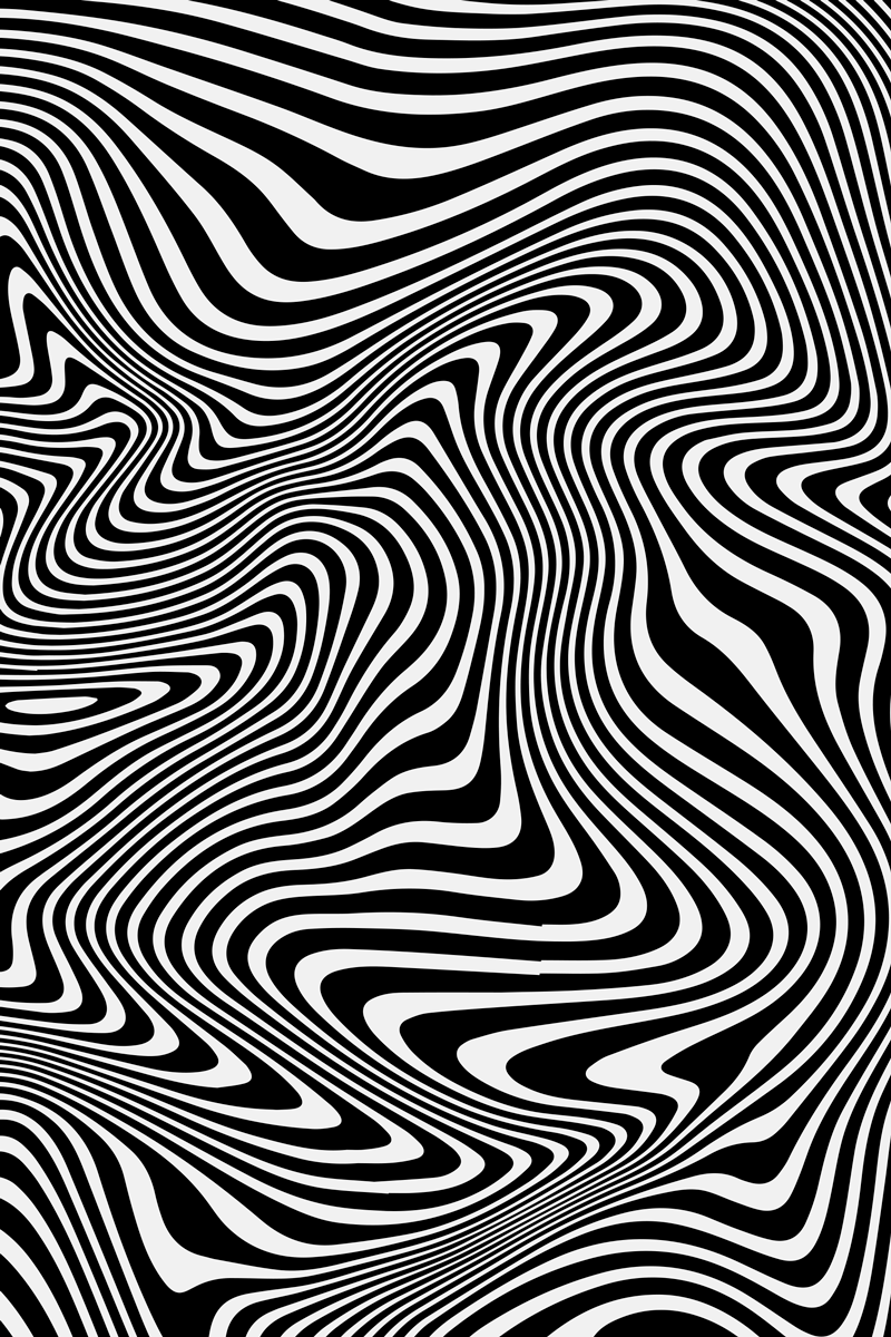 Hayvan pvc halı zebra 3d efekti - TenStickers