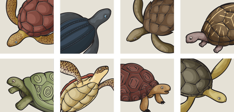 Hayvan pvc halı kaplumbağa desenli halı - TenStickers
