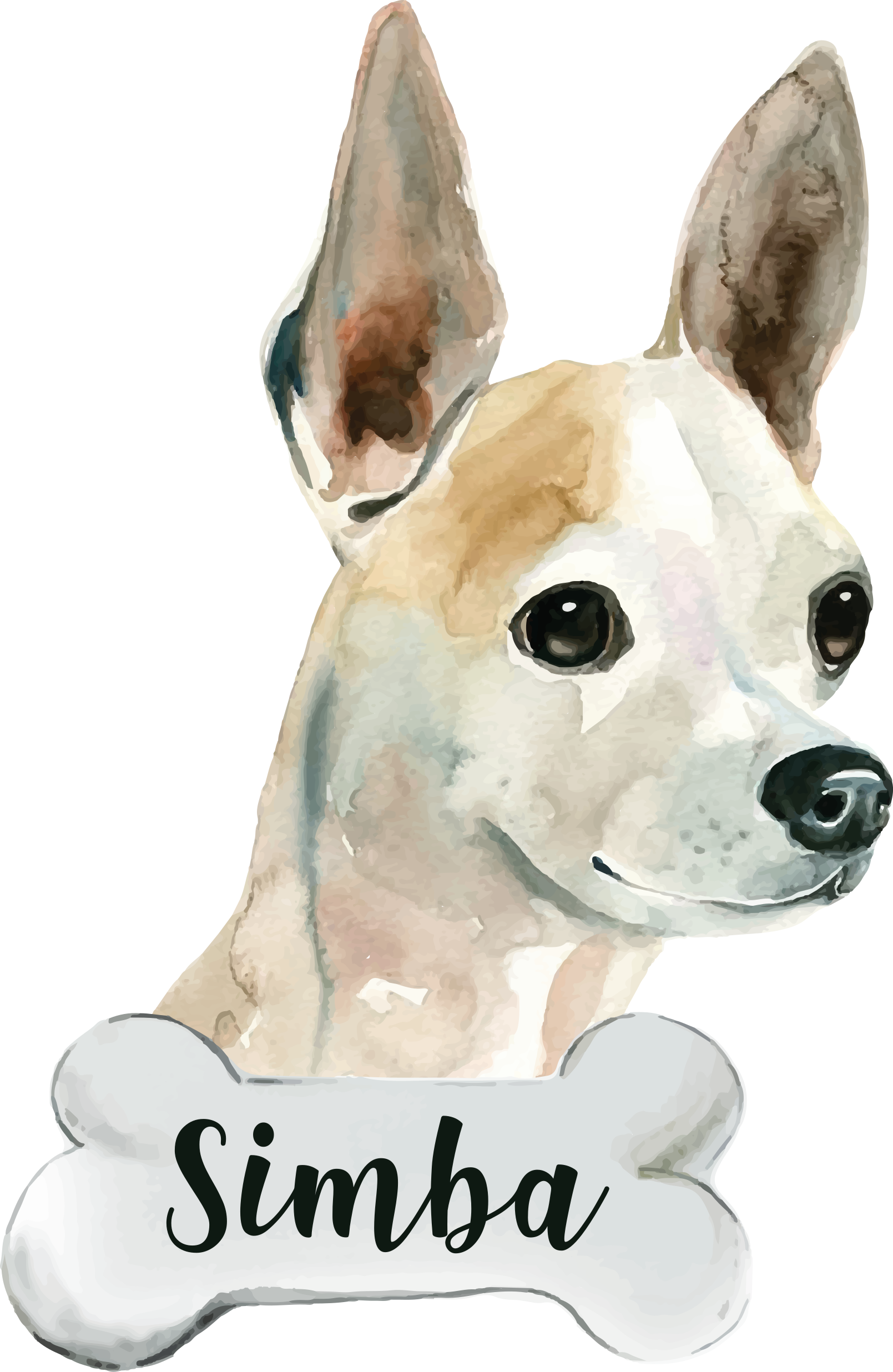 Hayvan pvc halı köpek ismi ile - TenStickers