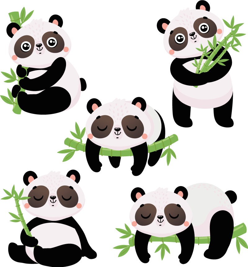 Hayvan pvc halı sevimli panda İllüstrasyonları - TenStickers