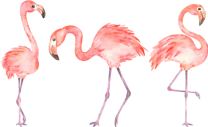 Hayvan pvc halı - Şık flamingo Üçlüsü - TenStickers