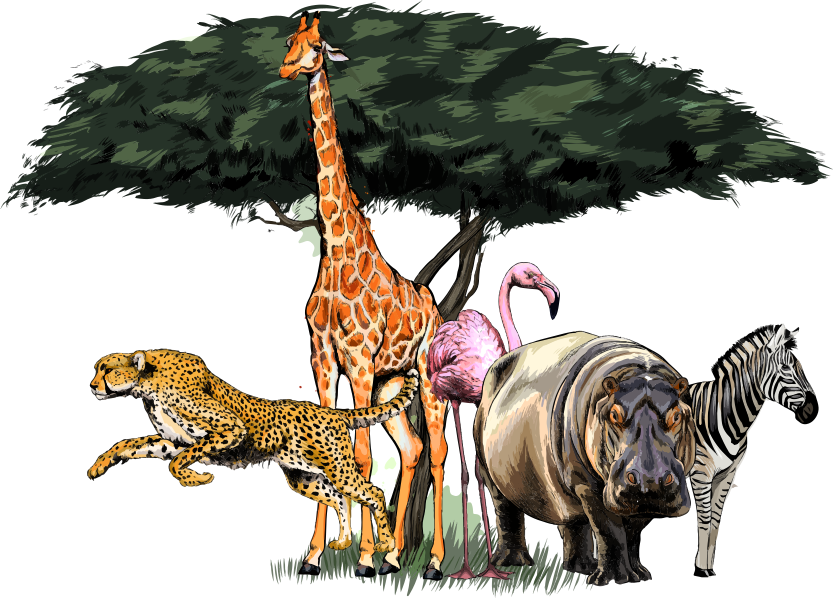 Hayvan pvc halı zürafa ailesi safari - TenStickers