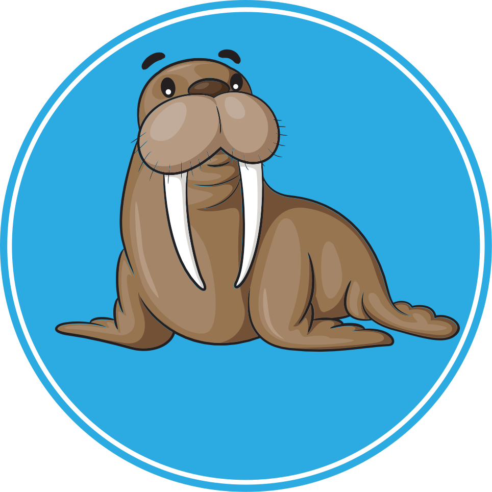 Hayvan pvc halı sevimli mors karakteri - TenStickers