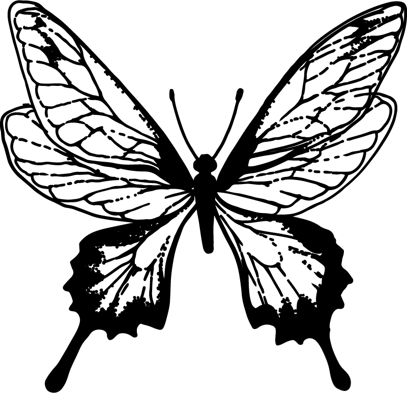 Hayvan pvc halı zarif kelebek konturu - TenStickers