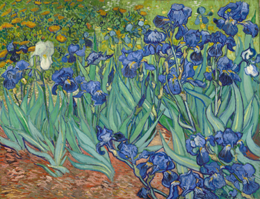 Çiçekler ve bitkiler pvc halı van gogh çiçekleri - TenStickers