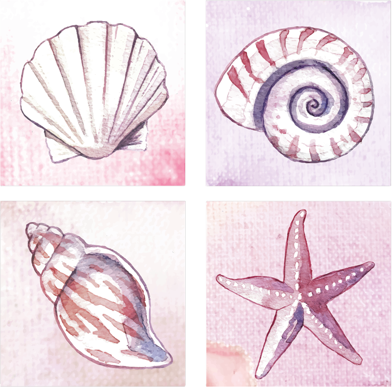 Banyo pvc halı deniz canlıları tiles - TenStickers