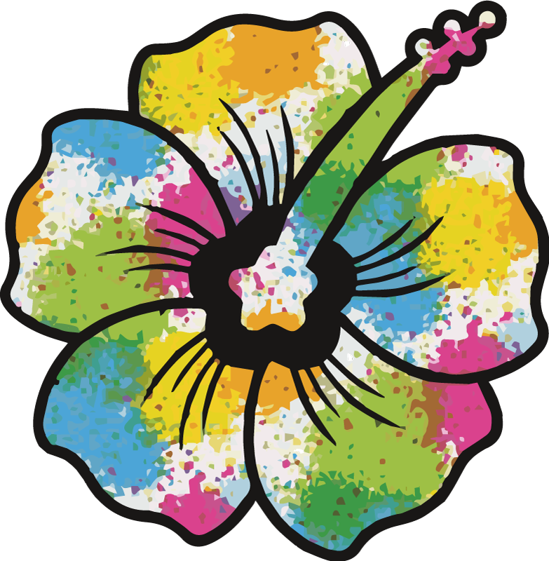 Yatak odası pvc halı renkli hibiskus Çiçeği - TenStickers