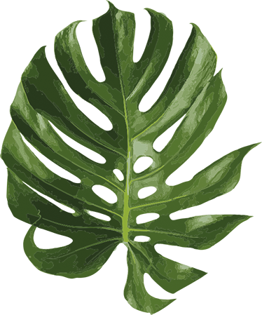 Çiçekler ve bitkiler pvc halı monstera yaprağı - TenStickers