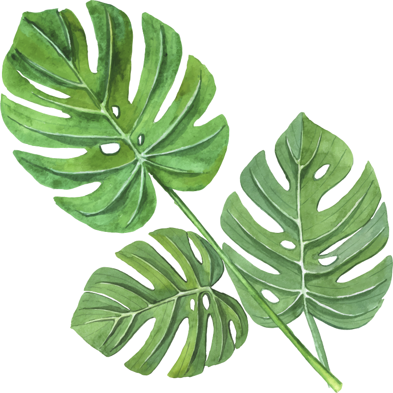 Çiçekler ve bitkiler pvc halı monstera sulu boya yaprakları - TenStickers