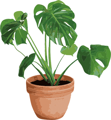 Çiçekler ve bitkiler pvc halı basit monstera saksı - TenStickers