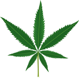 Çiçekler ve bitkiler pvc halı marihuana yaprağı - TenStickers
