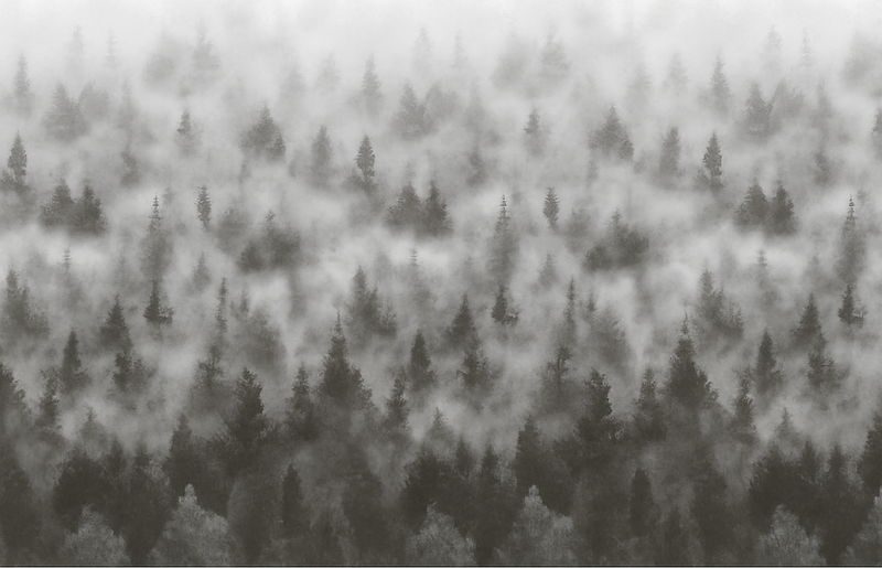 Yatak odası pvc halı 3d sisli gizemli dağ - TenStickers