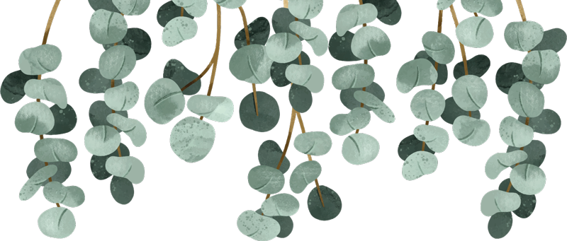 Yatak odası pvc halı sarkan bitkiler - TenStickers