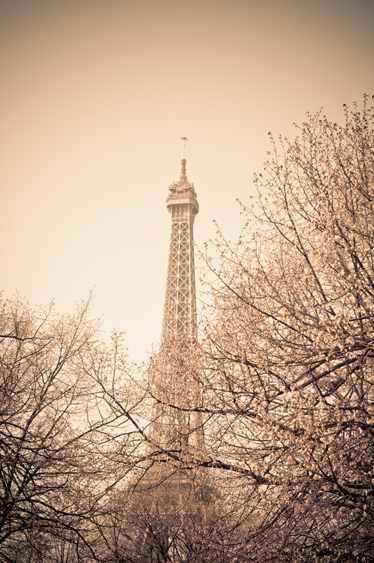 Yatak odası pvc halı - eiffel kulesi ve ağaçlar - TenStickers