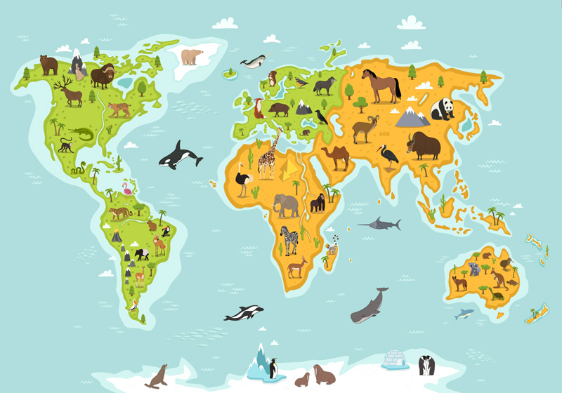 Dünya haritası pvc halı çocuklar için fauna ve flora - TenStickers