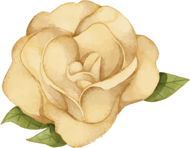 Harika altın gül vinil yatak odası halı - TenStickers