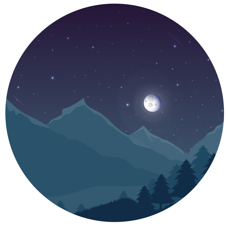 Gece gökyüzü doğa vinil halı - TenStickers