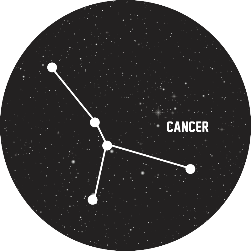 Göksel takımyıldız yıldızlar pvc halı - TenStickers