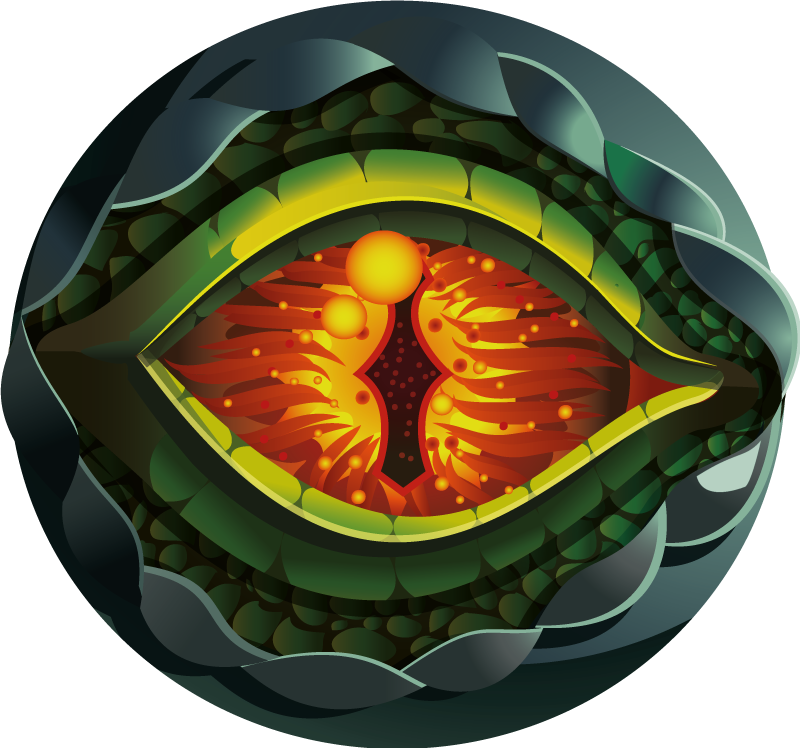 Dinozor gözü doğal tasarım hayvan halısı - TenStickers