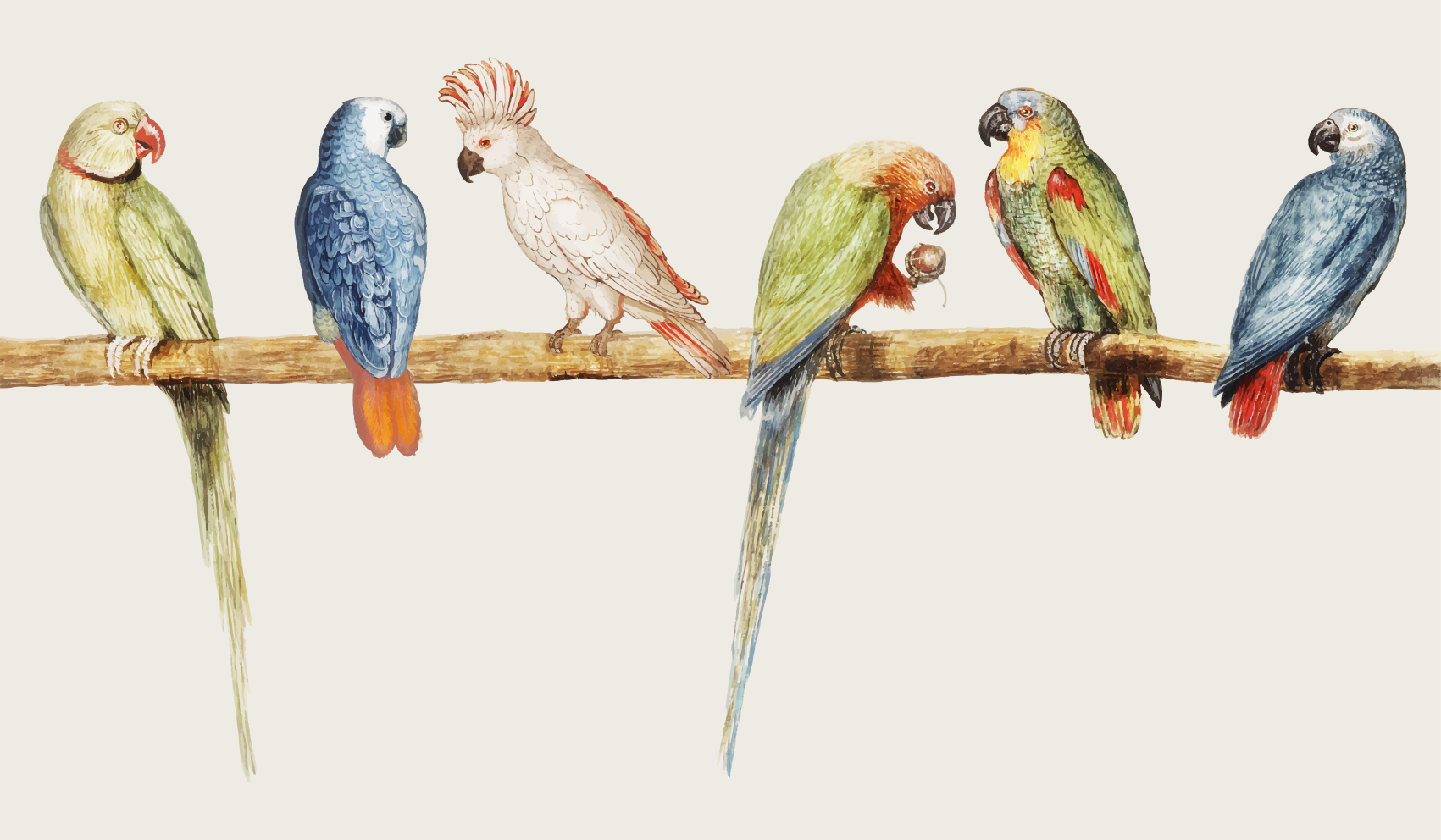 Kuşlar ve dalları ile modern gri çiçek halı - TenStickers