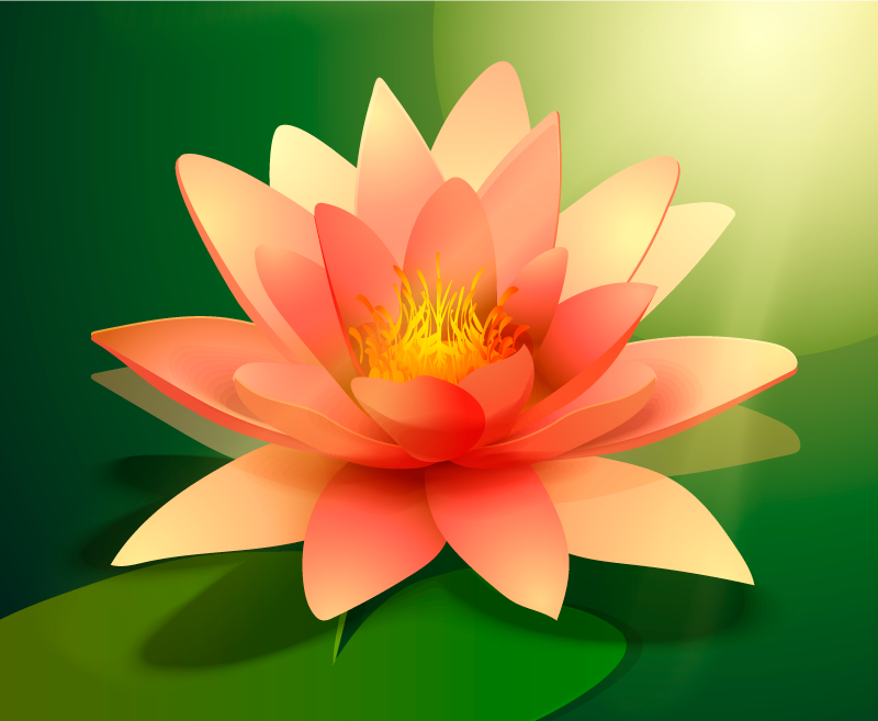 çiçek açan lotus çiçekler ve bitkiler pvc halı - TenStickers