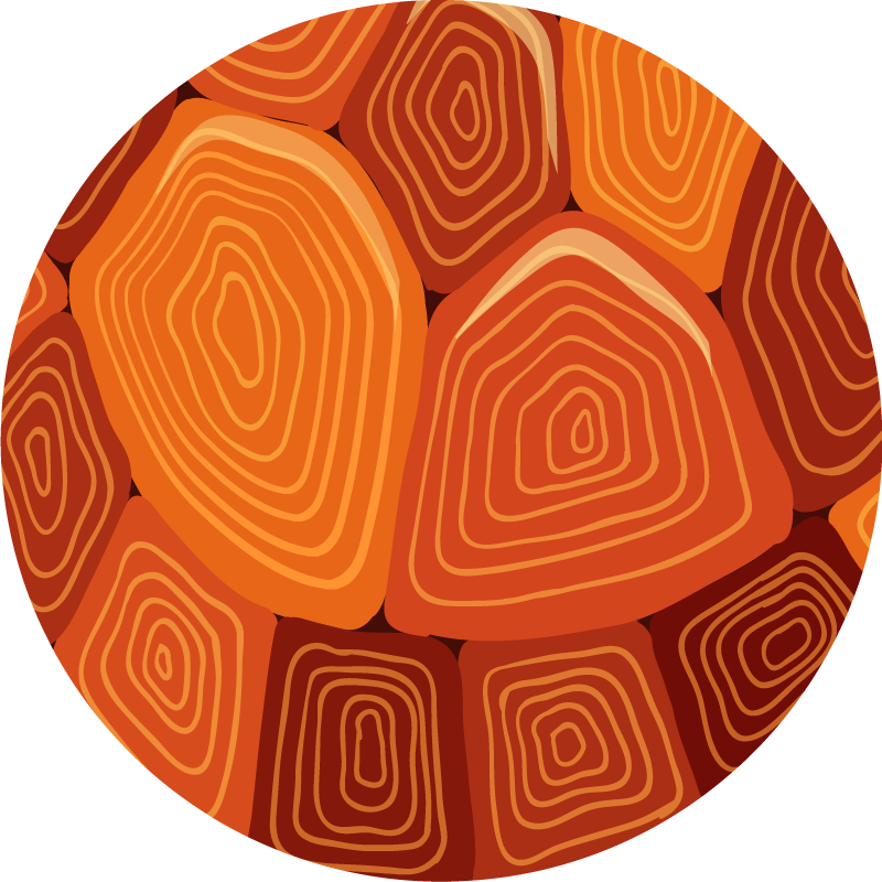 Kaplumbağa evi baskı hayvan baskı vinil halı - TenStickers