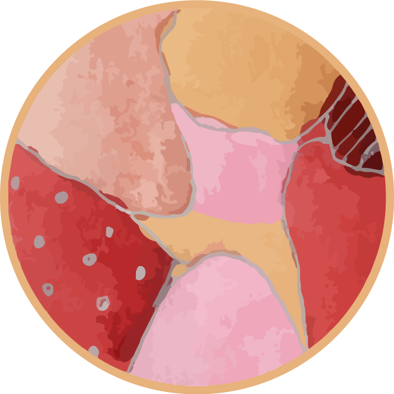 Canlı çiçek motifleri giriş salonu pvc halı - TenStickers