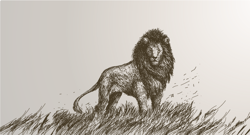 Görkemli aslan yansıması Hayvan pvc halı - TenStickers