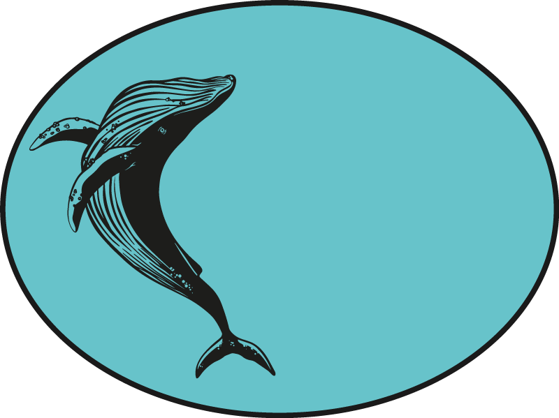 Görkemli balina motifi Hayvan pvc halı - TenStickers