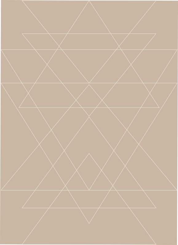 Geometrik desenli paspas modern pvc halı - TenStickers