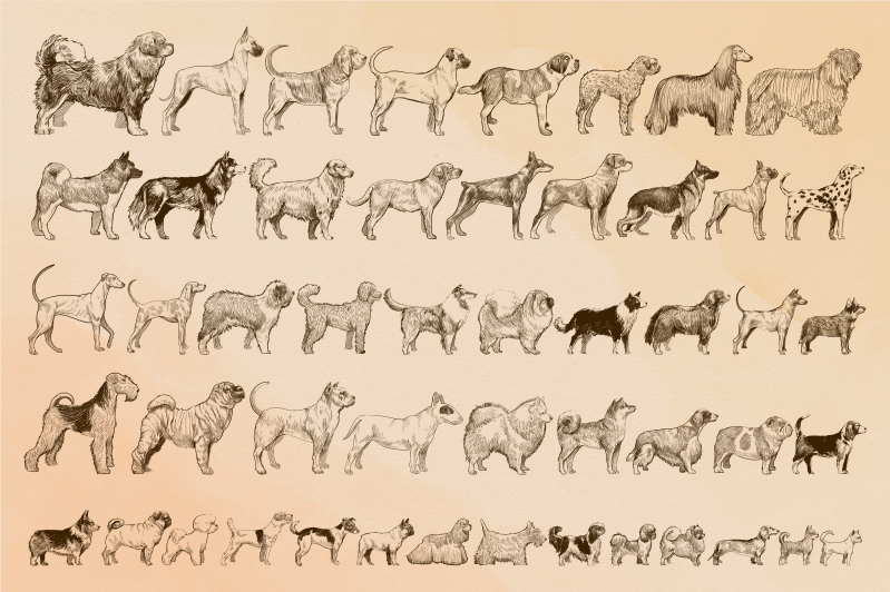 Bej köpek çizimleri Hayvan pvc halı - TenStickers