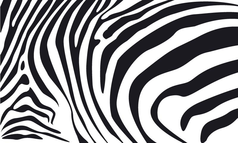 Hayvan baskı pvc halı zebra Çizgileri - TenStickers