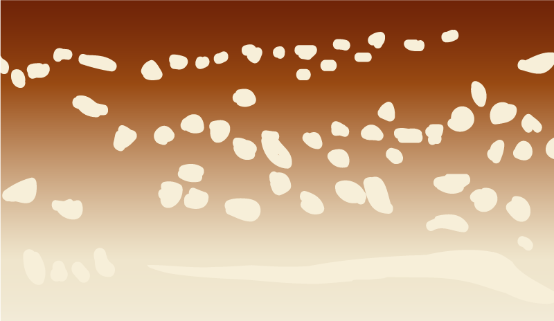 Kahverengi yürüyüş yolu taş etkisi pvc halı - TenStickers