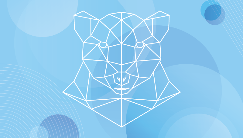 Geometrik ayı taslağı Hayvan pvc halı - TenStickers