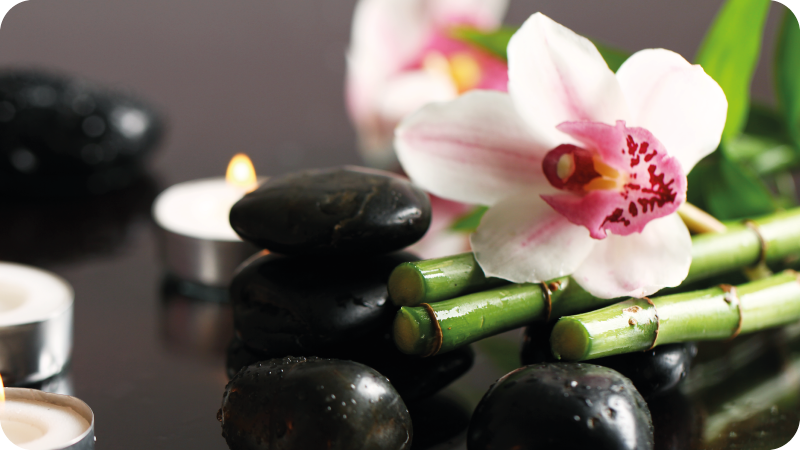 Orkide dinginliği doğa pvc halı - TenStickers