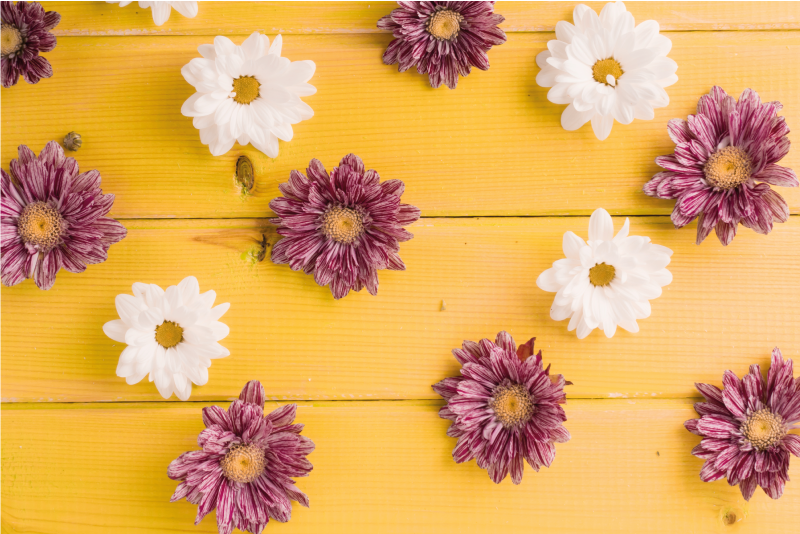 Papatya çiçekleri ahşap tahta çiçek halı üzerinde - TenStickers