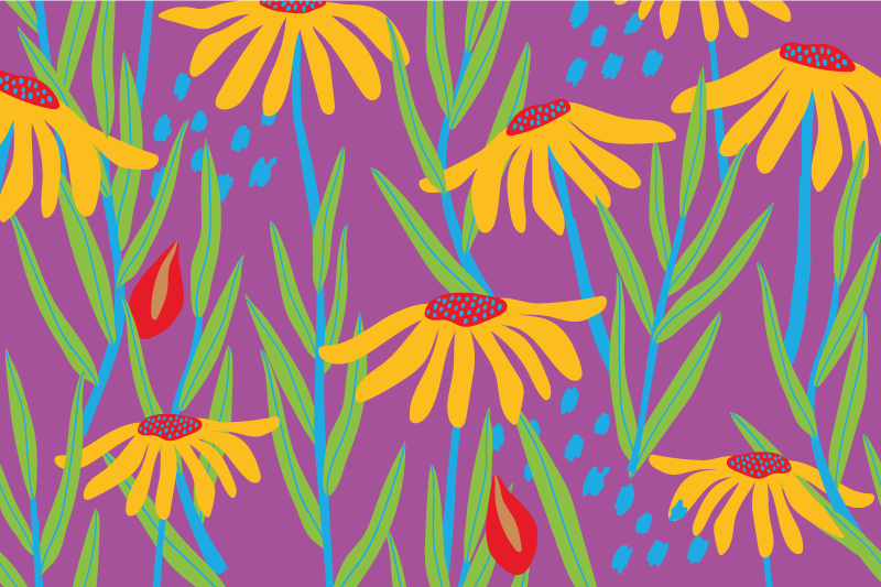 Renkli papatya çiçekleri silouhette çiçekli halı - TenStickers