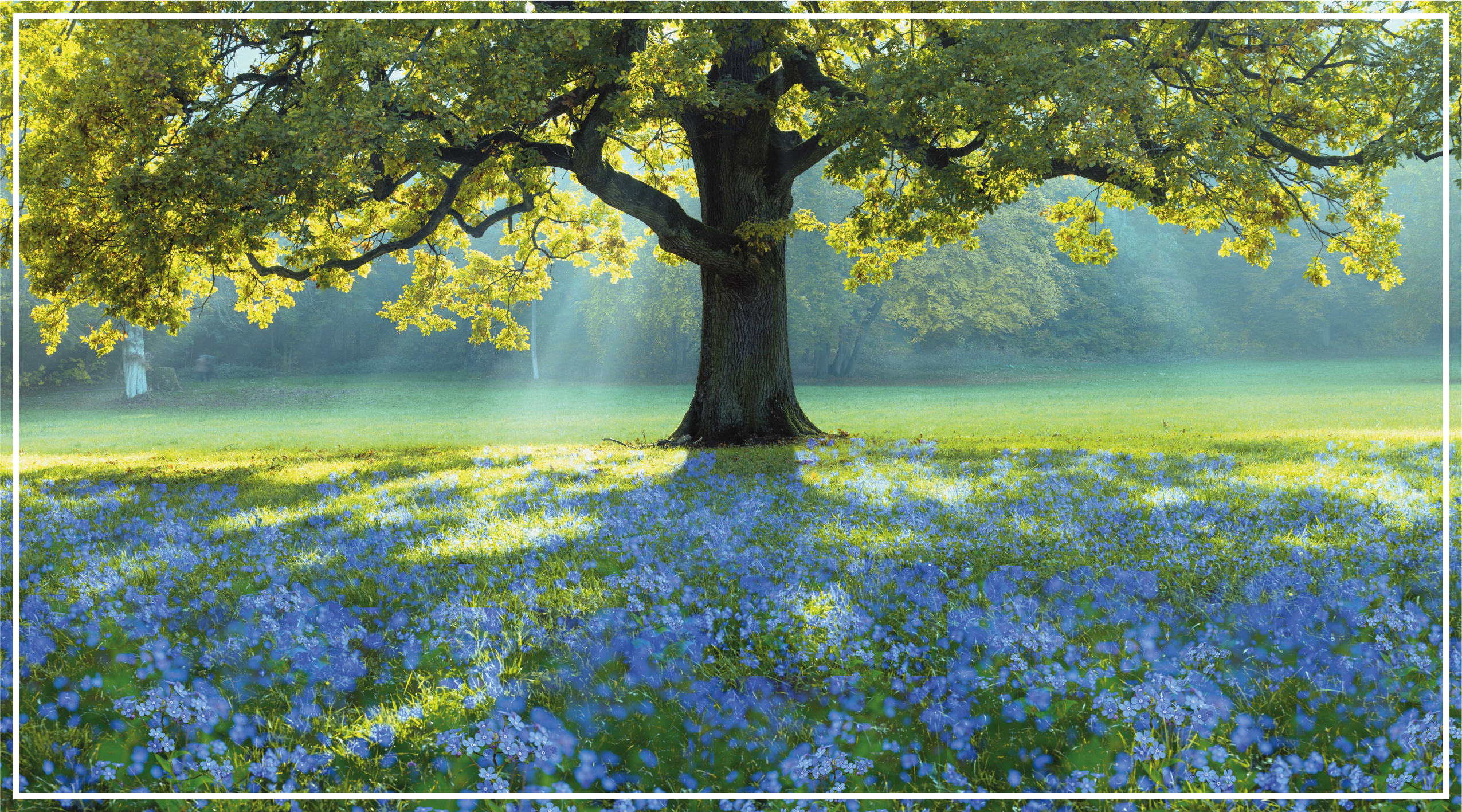 Mavi çiçekler ve bir ağaç çiçek halısı - TenStickers