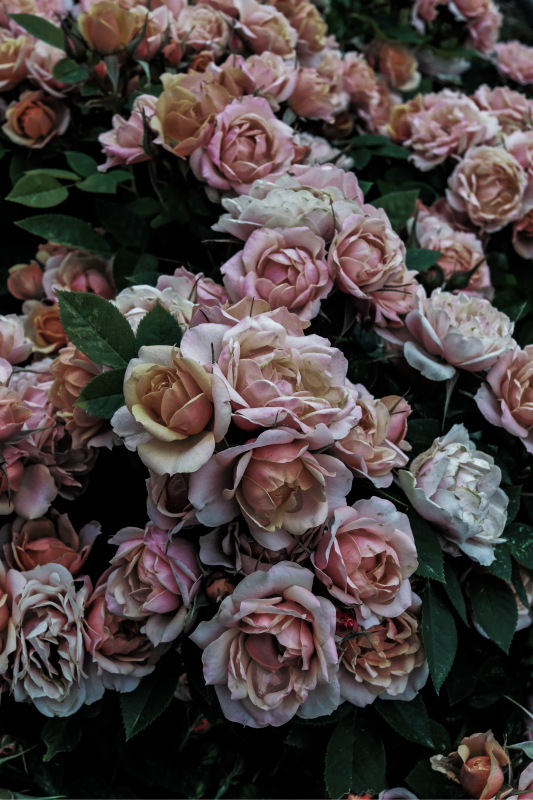 Zarif çiçek düzenlemesi çiçekler ve bitkiler pvc halı - TenStickers