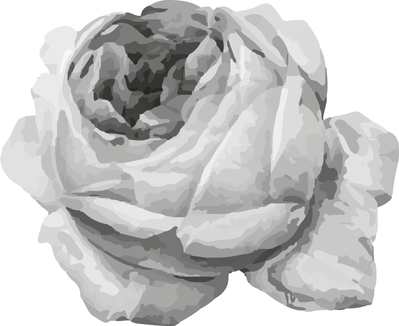 Gül çiçeği çiçekler ve bitkiler pvc halı - TenStickers