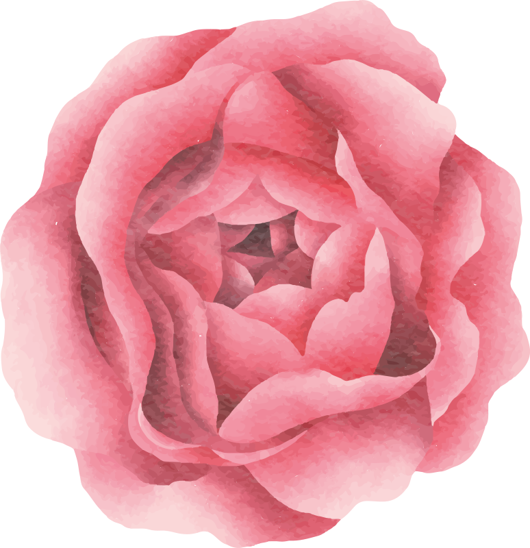 Pembe gül doğa vinil halı - TenStickers