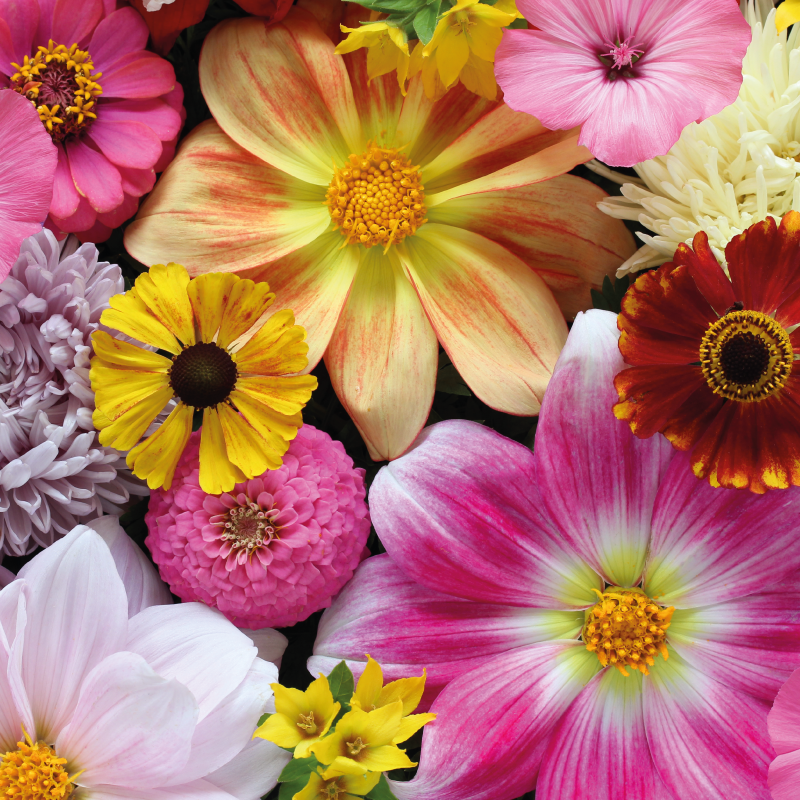 Güzel gerçekçi düzenleme çiçekler ve bitkiler pvc halı - TenStickers