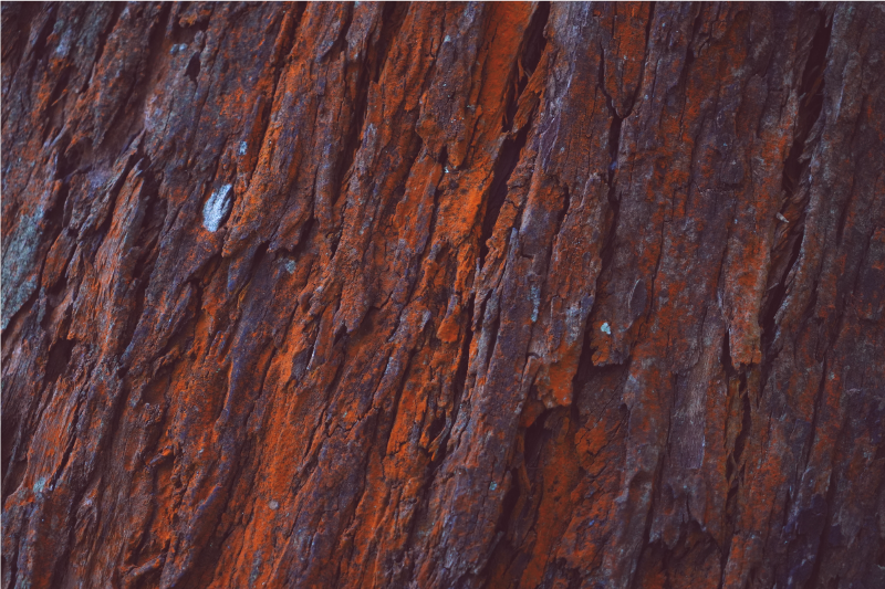 Rustik ahşap tahıl etkisi vinil halı - TenStickers