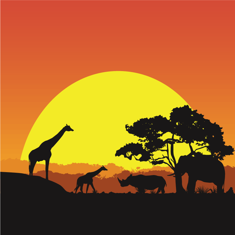 Afrika savana modern halı - TenStickers