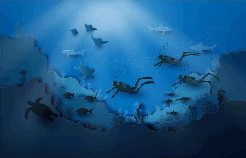 Sualtı keşfi doğa pvc halı - TenStickers