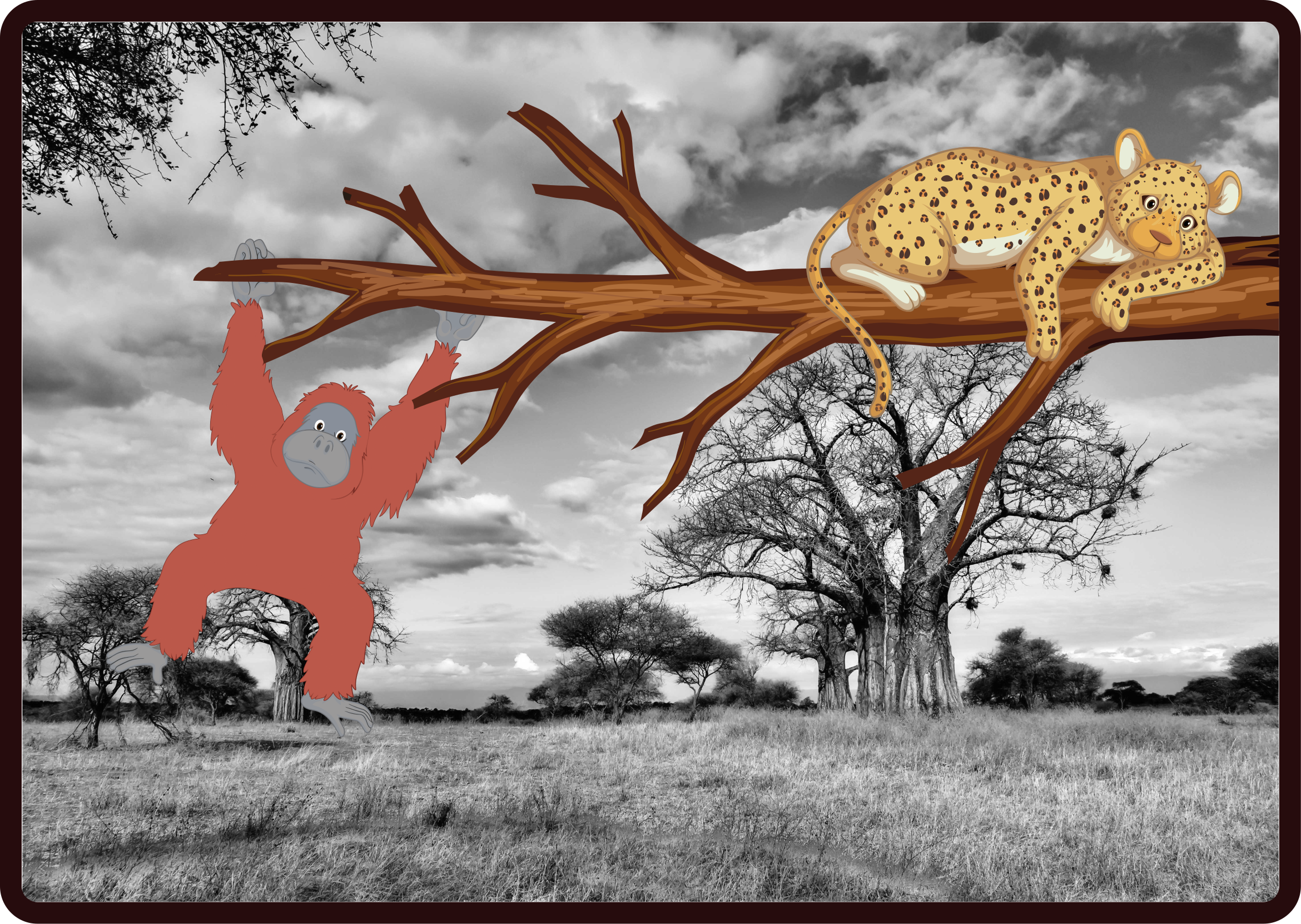 Bir leopar hayvan halısı kovalayan maymunlar - TenStickers